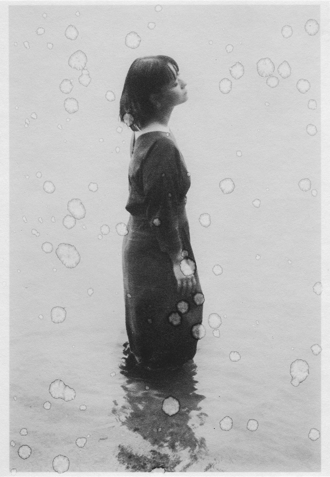 浮（ぶい｜Buoy）のプロフィールと作品一覧。 | Sweet Dreams Press